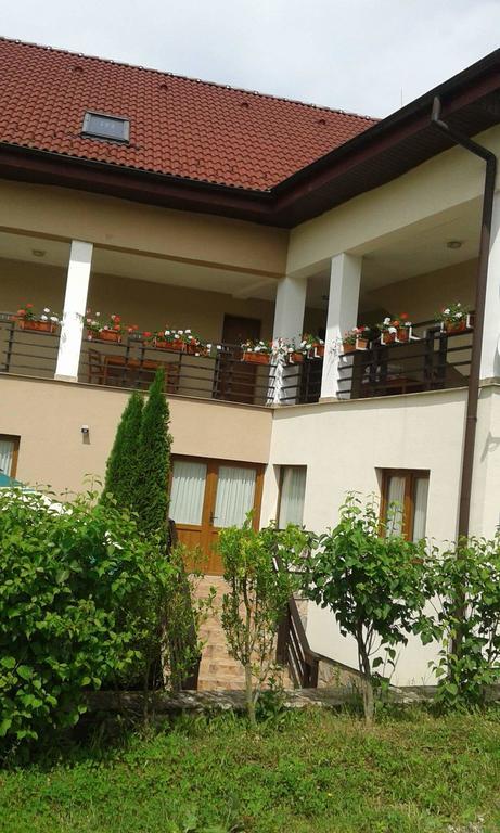 Pension Laura Cheile Turzii Petrestii de Jos Exterior photo