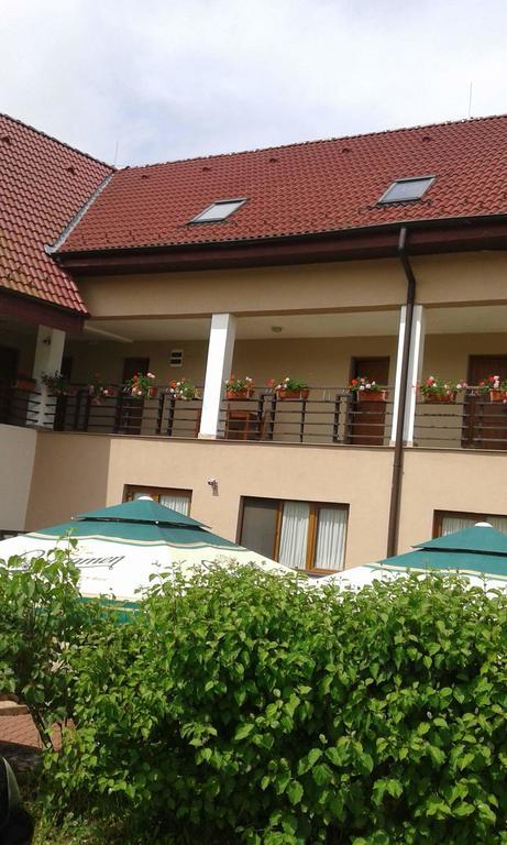 Pension Laura Cheile Turzii Petrestii de Jos Exterior photo