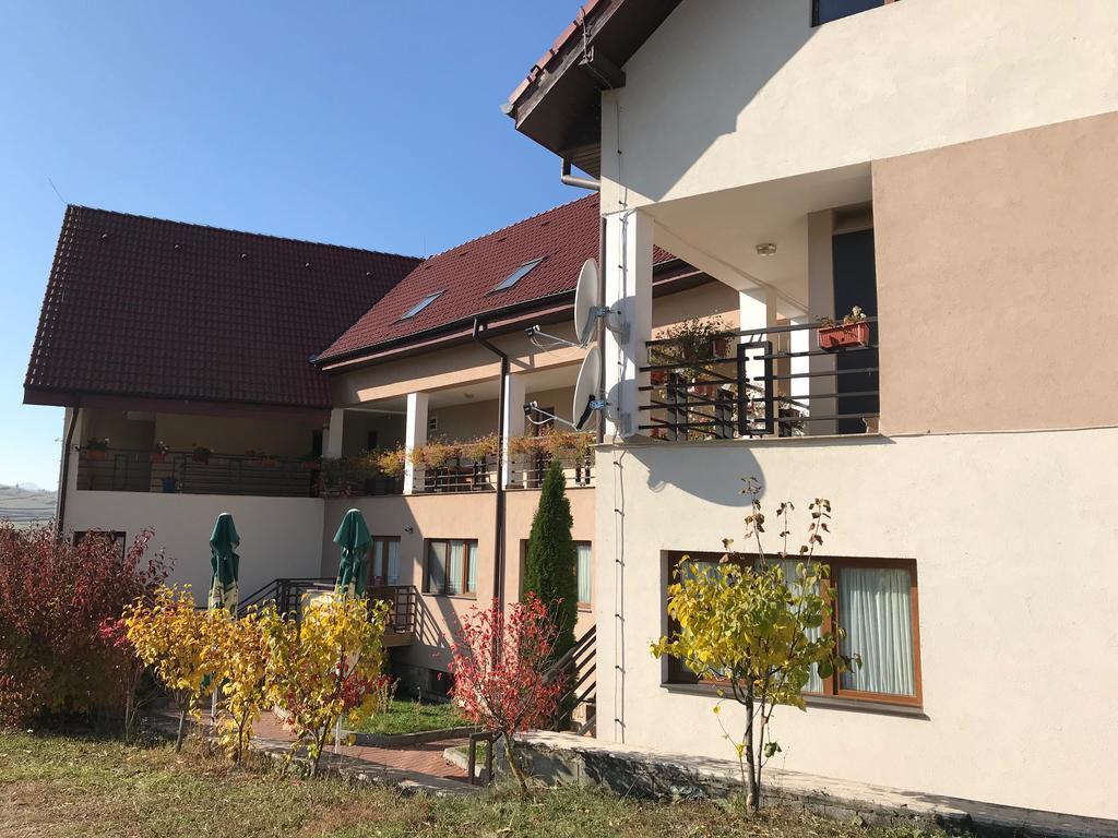 Pension Laura Cheile Turzii Petrestii de Jos Exterior photo